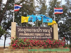 ǹطҹҳ Pran Buir Forest Park