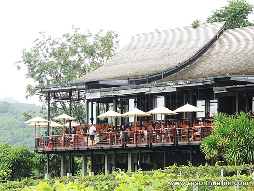 Hua Hin Hills Vineyard