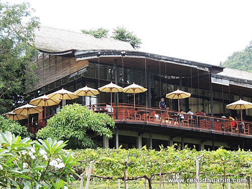 Moonsoon Valley Vineyard Hua Hin