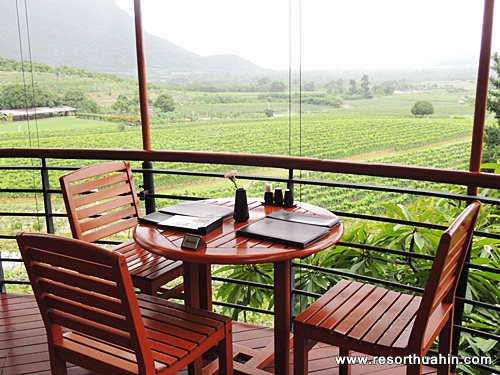 Moonsoon Valley Vineyard Hua Hin