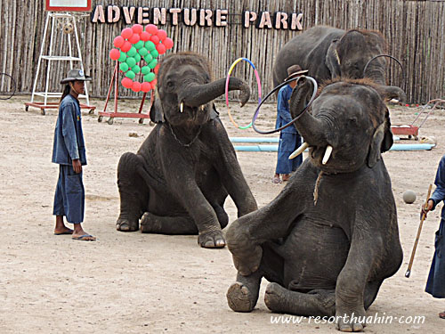 Hua Hin Safari & Adventure Park