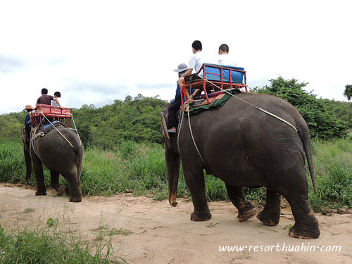 Hua Hin Safari & Adventure Park