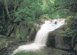 Taxi Hua Hin go to Pala U Waterfall